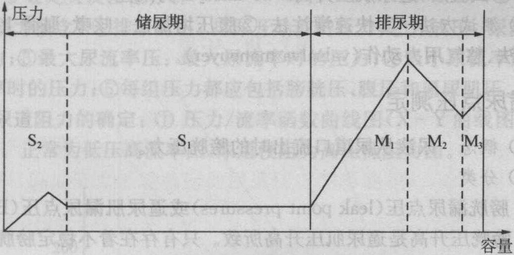 第六節(jié) 尿動力學(xué)檢查